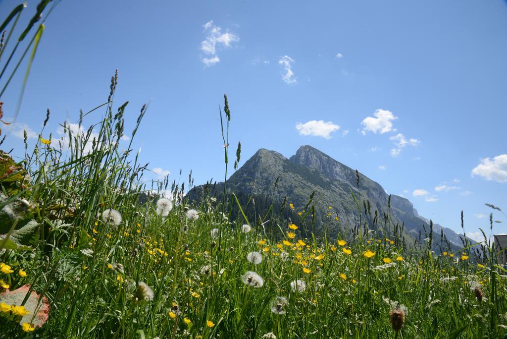 Der Alpenblick Hotel Sankt Johann im Pongau Luaran gambar